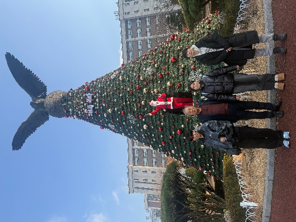 크리스마스 트리 촬영 대표이미지