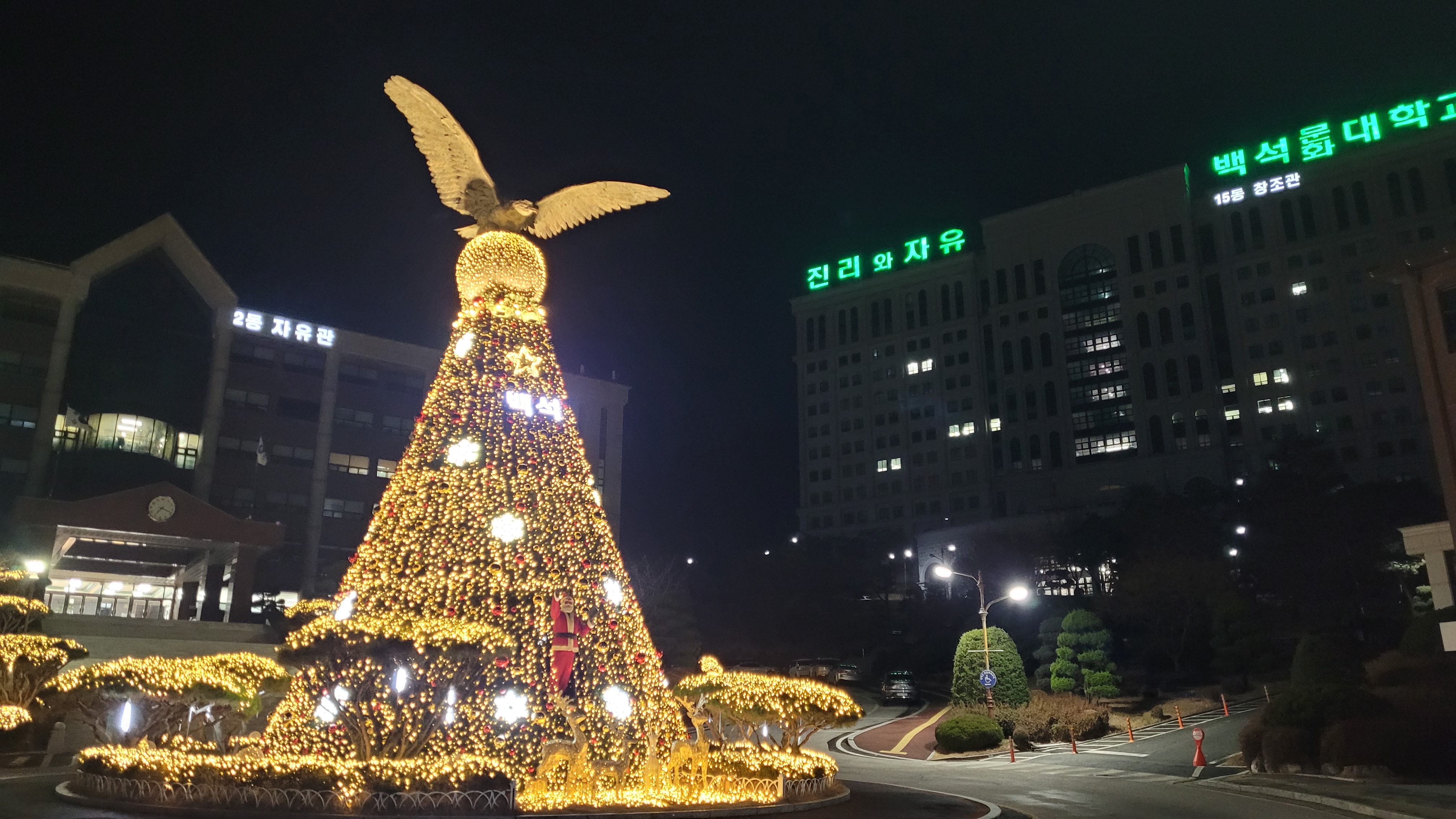 Merry Christmas 1번째 첨부파일 이미지