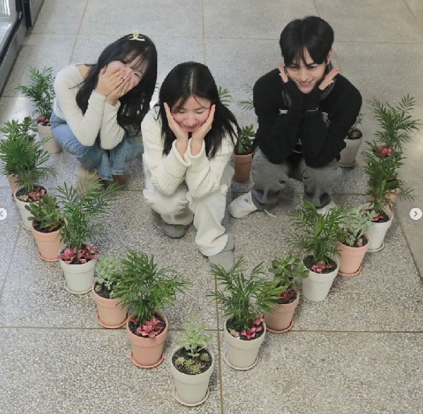 원예치료교과목 실습 대표이미지