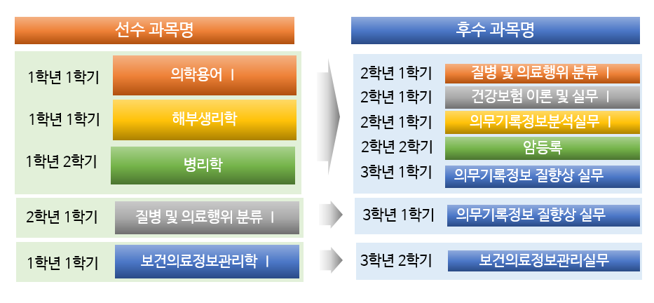 선후수이수체계