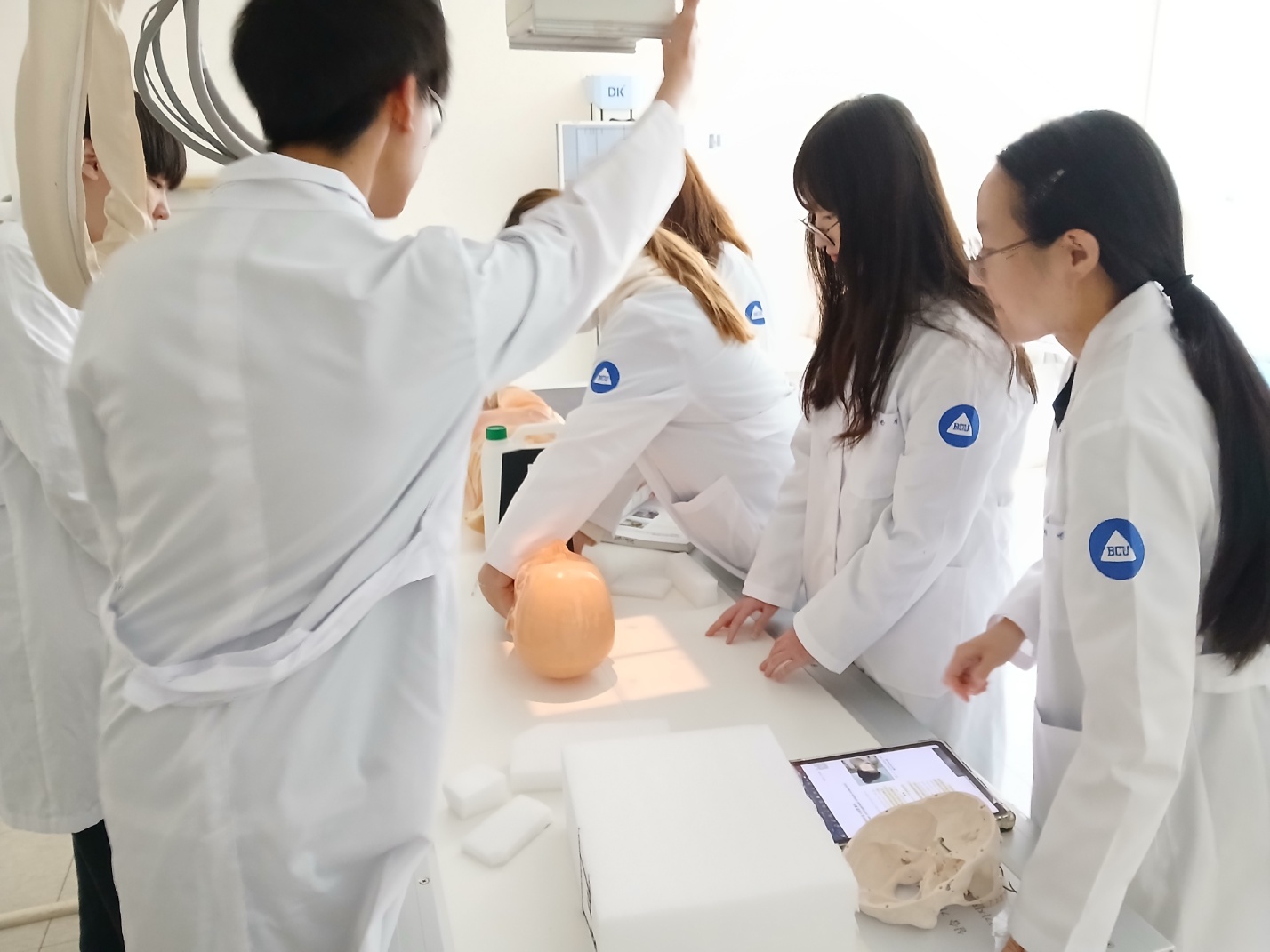 두경부 영상학 실습수업 사진 1번째 첨부파일 이미지