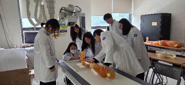 전공 하지영상학 실습  대표이미지