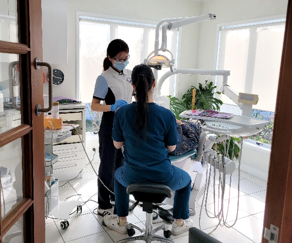 백석문화대, 뉴질랜드 글로벌 현장학습 파견… 보건의료 인재 육성 가속 대표이미지